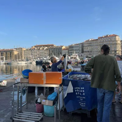 marche poisson typique Vieux port